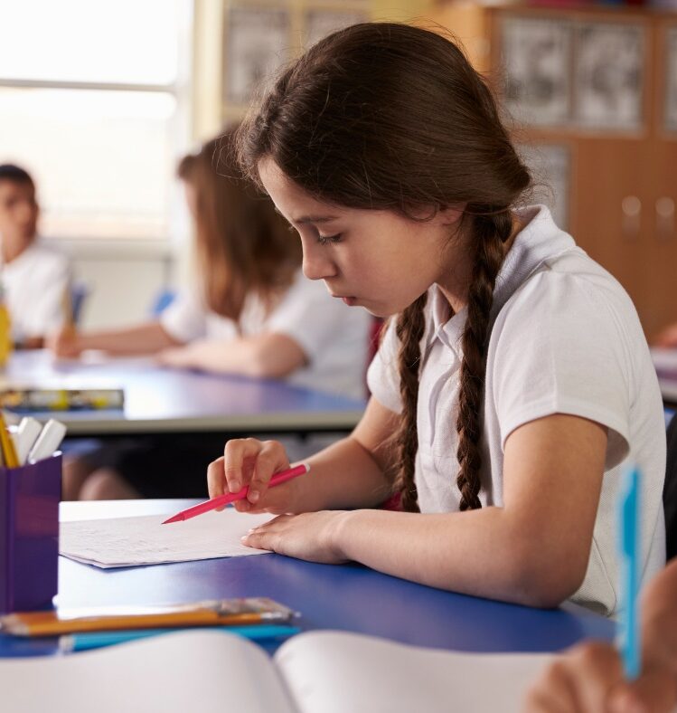 Young student at desk working
